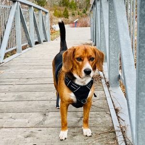 Meet your Posher, Sheratch